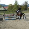 Babie Lato 2016